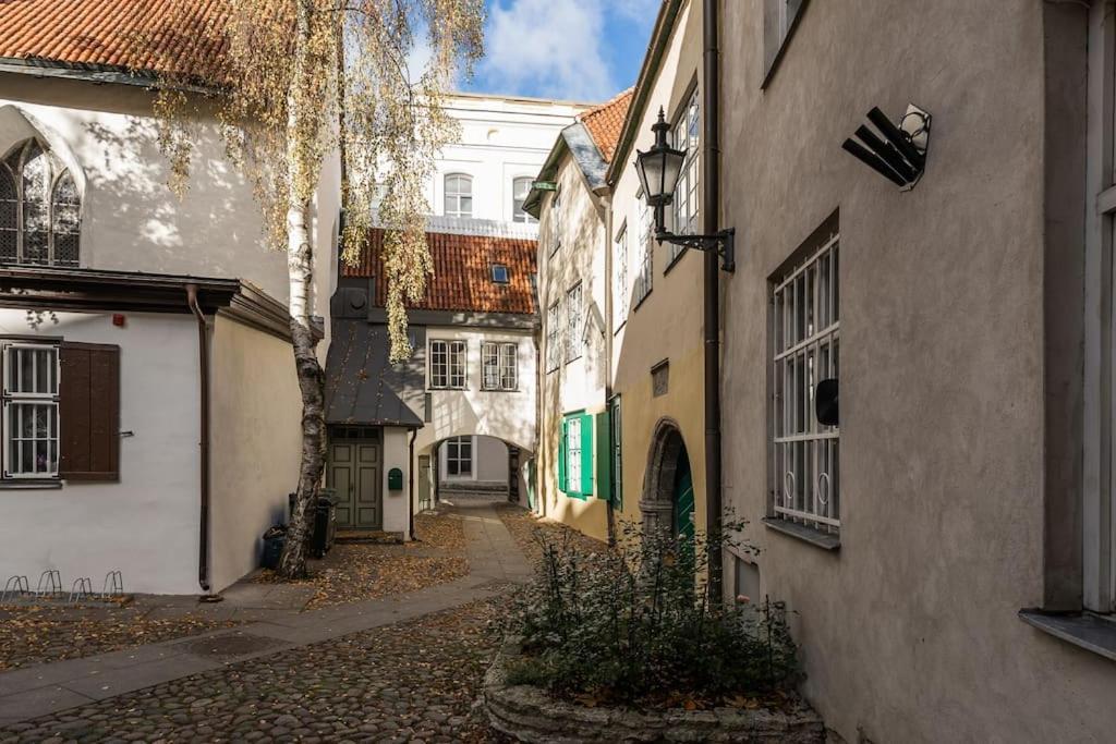 Pueha Vaimu Kuelaliskorter タリン エクステリア 写真